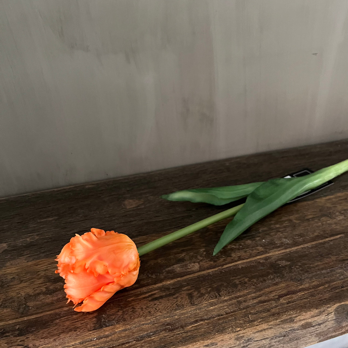 Papegaaitulp (parkiettulp) oranje (kunst), 40 cm
