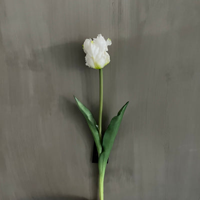 Papegaaitulp (parkiettulp) wit (kunst), 40 cm