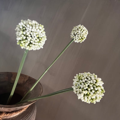 Allium Sativum crème (sierui), bosje kunsttakken van 3 stuks, 55 cm