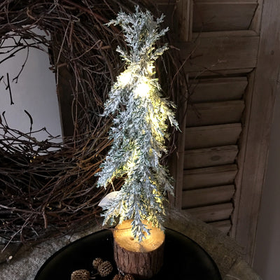 Kerstboompje 'Demu', met lichtjes