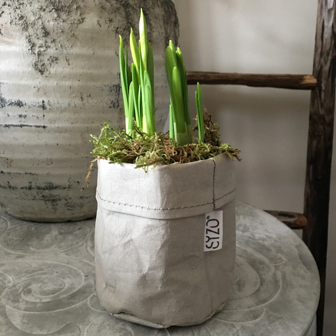 Narcis voorjaarsbolletjes in lichtgrijze 'leerlook' potcover